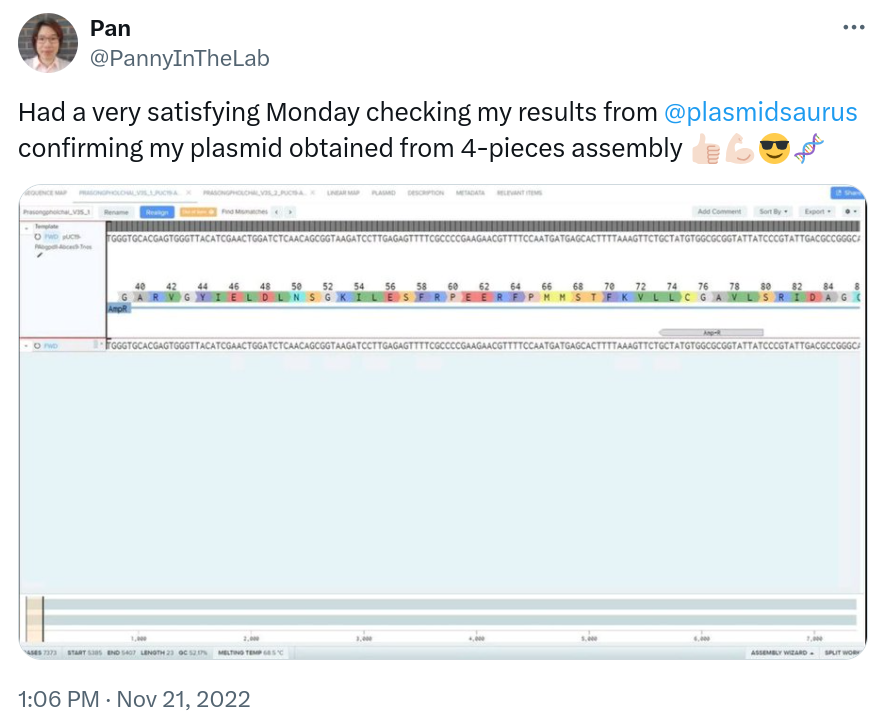 Had a very satisfying Monday checking my results from @plasmidsaurus confirming my plasmid obtained from 4-pieces assembly 👍🏻💪🏻😎🧬